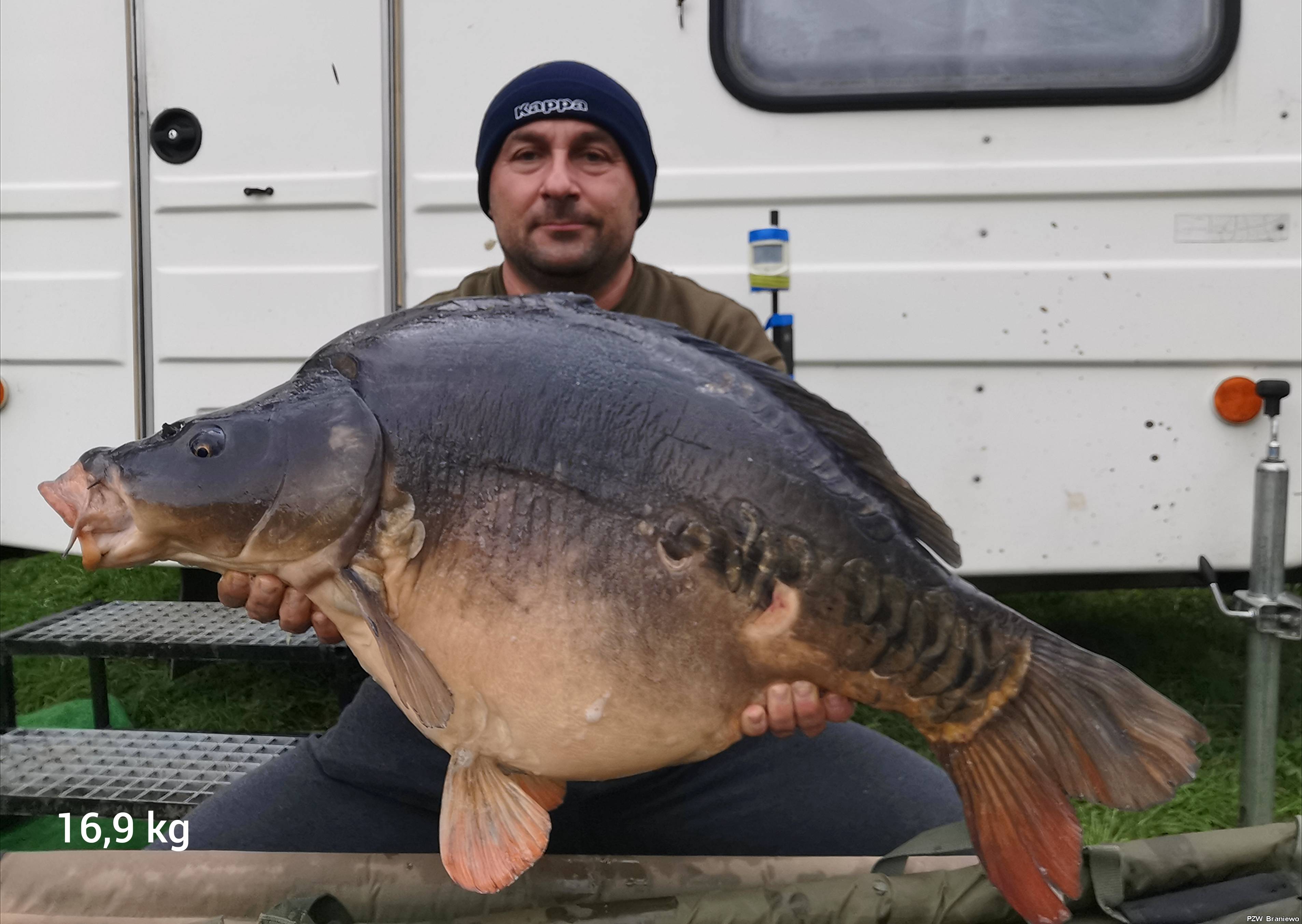 Karp 16,9 kg