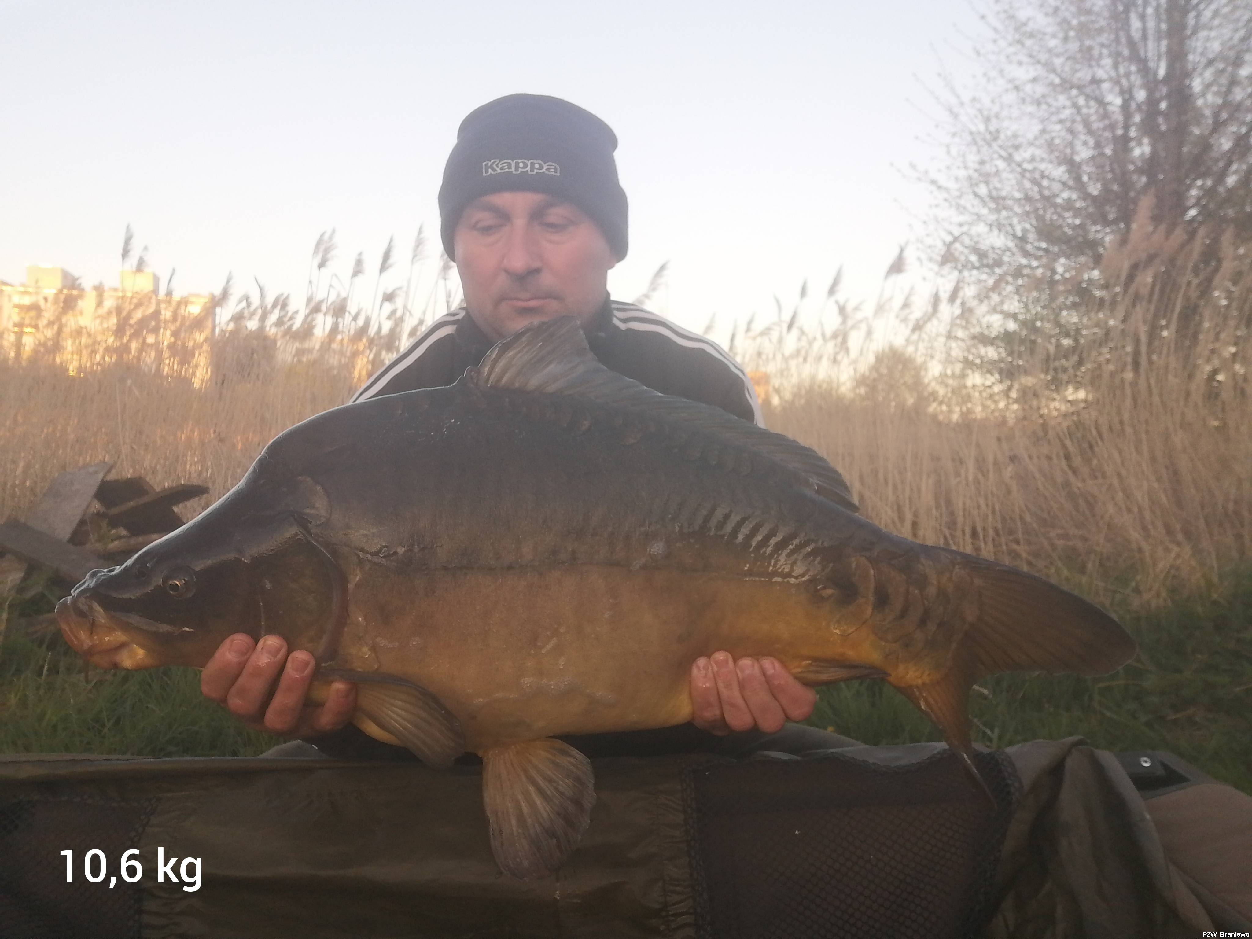 Karp 10,6 kg