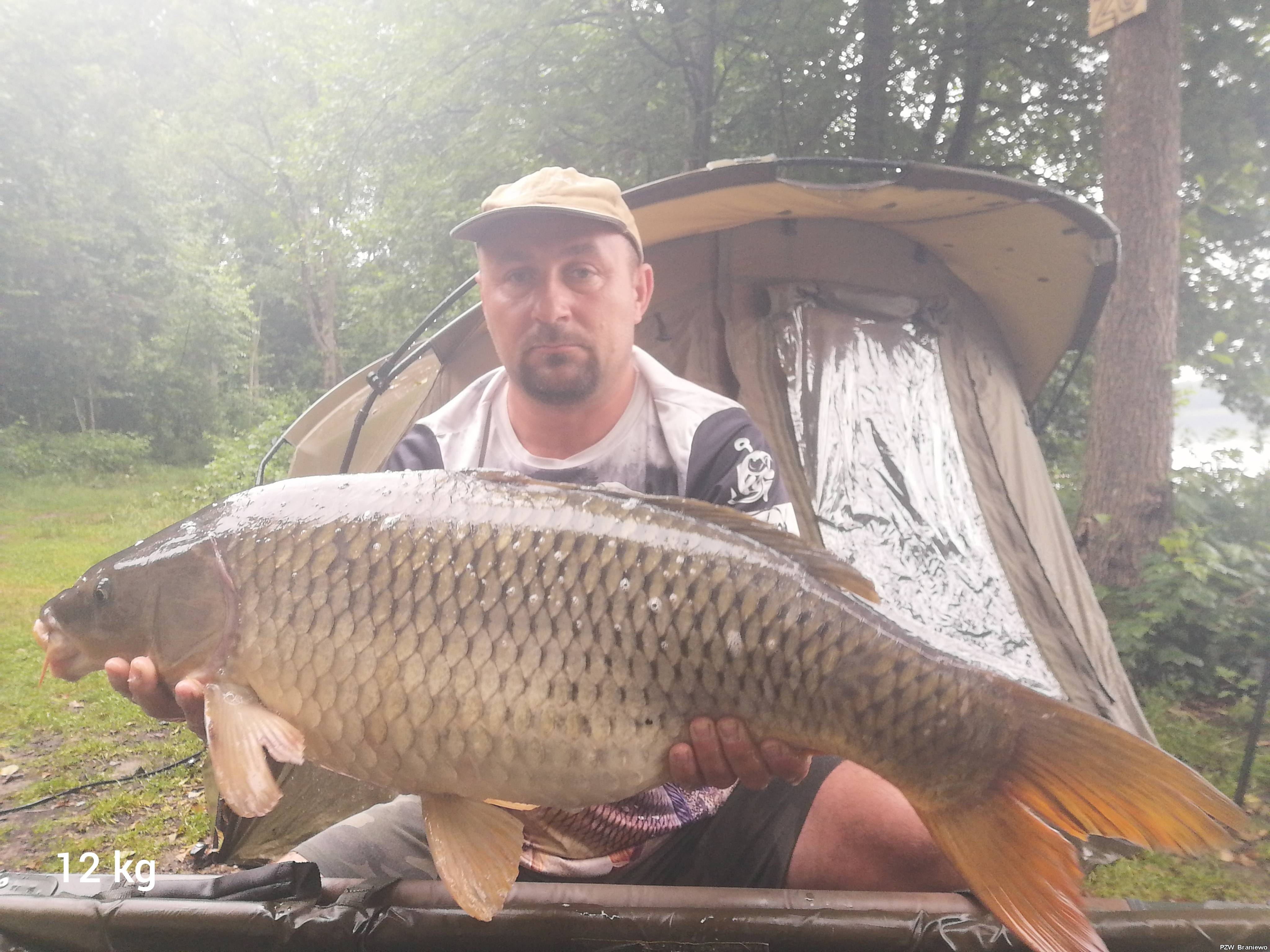 Pełnołuski w południe