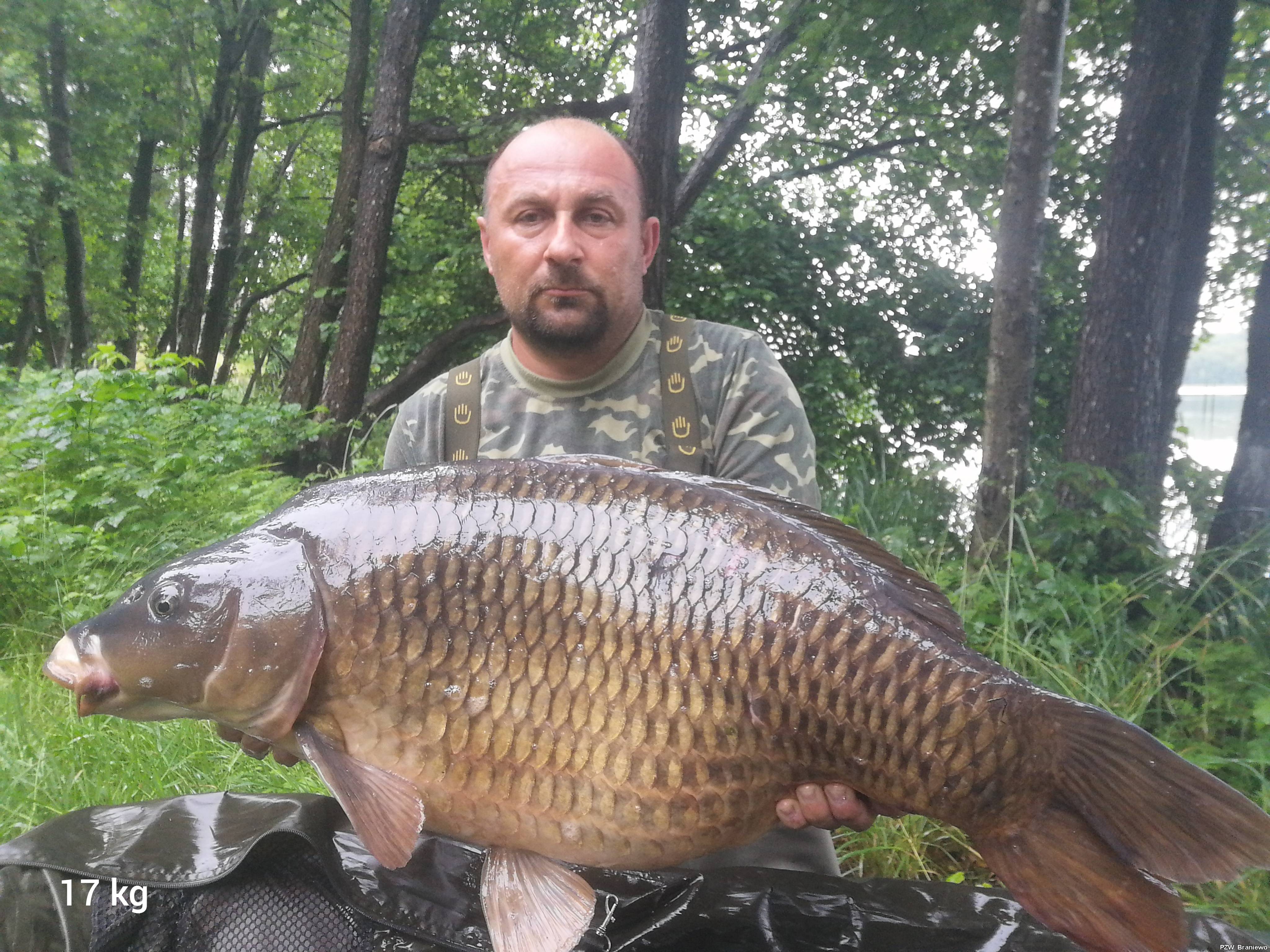 Pełnołuski 17 kg