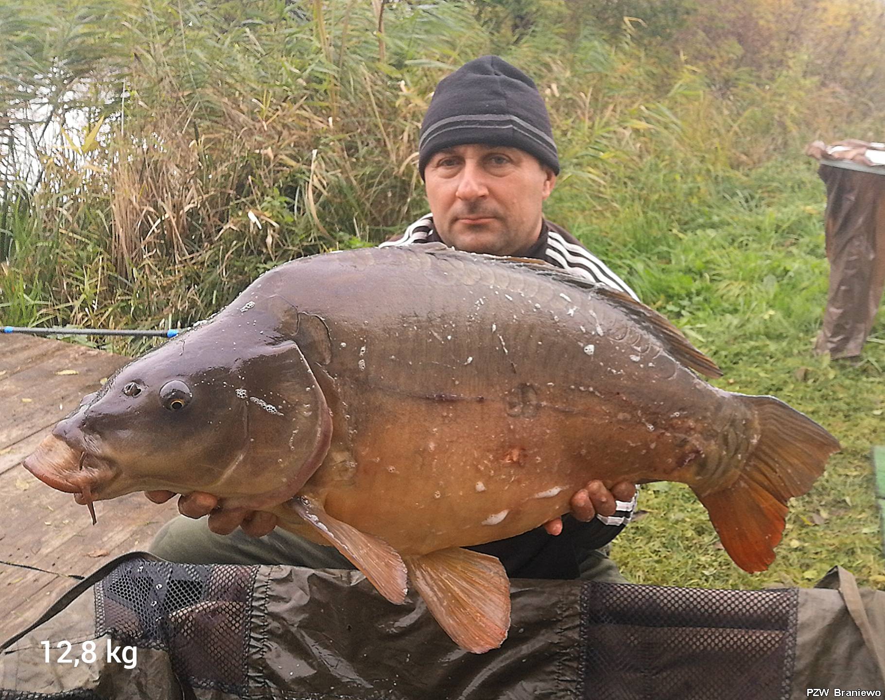 Karp 12+